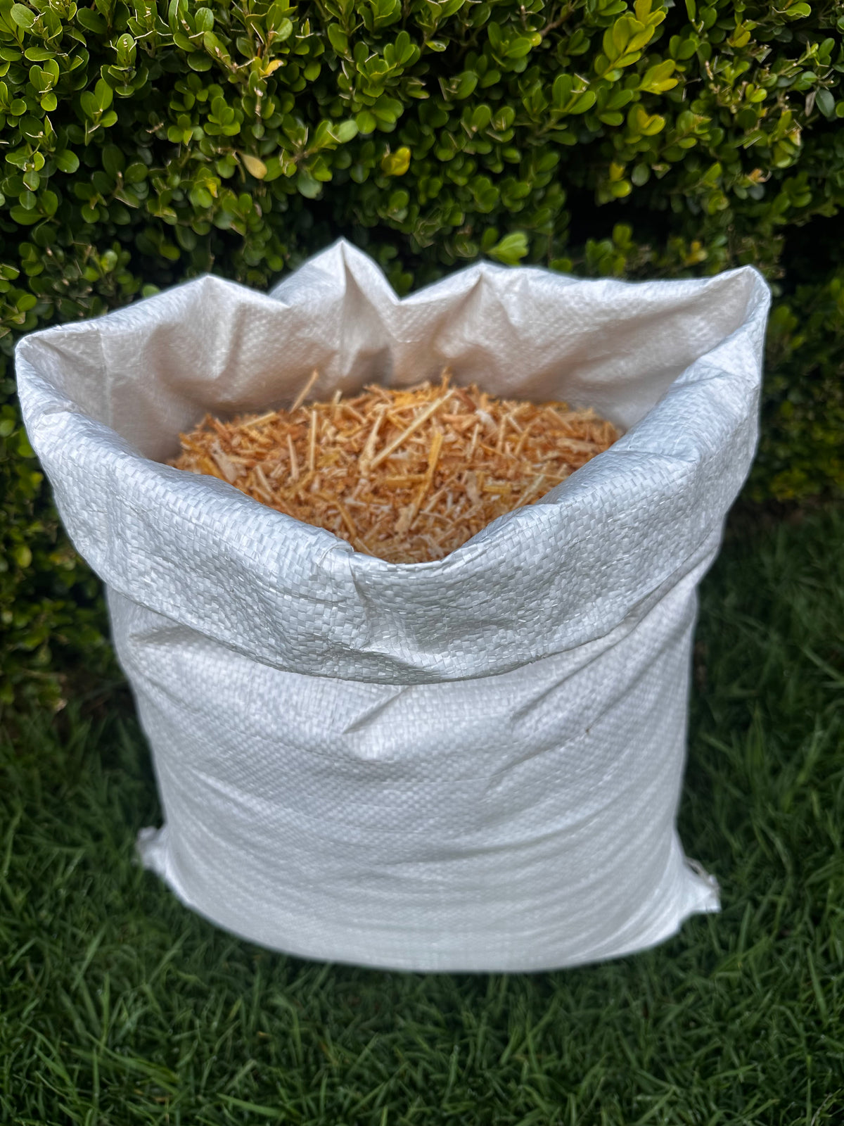 Viruta de Pino Premium Costal 9kg | Woodstock