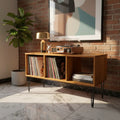 Organizador Industrial para Vinilos | Color  Oyamel | Woodstock