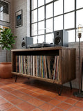Consola Vintage para TV y Vinilos | Madera & Acero | Woodstock