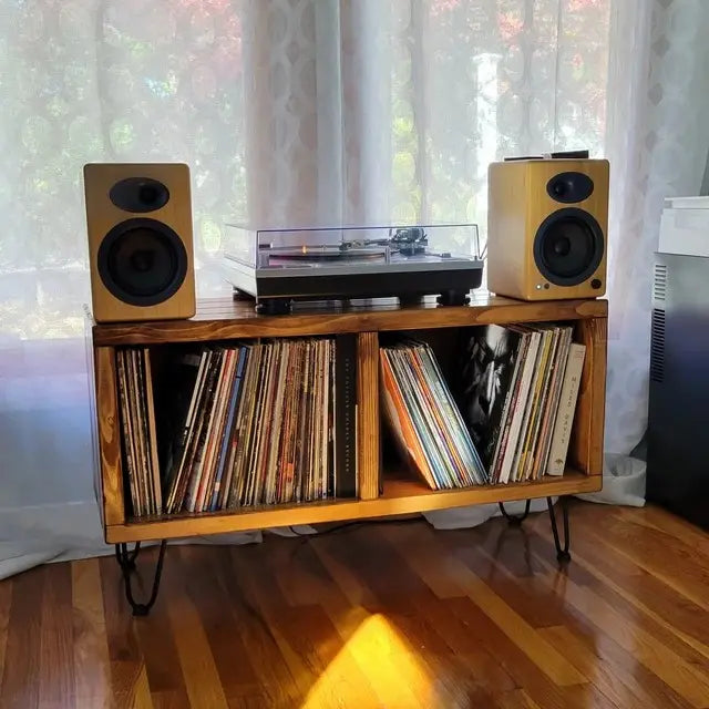 Consola Vintage para Vinilos | Color Oyamel & Acero | Woodstock